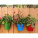 Red Barrel Studio® Iron Hanger 3-Piece Wall Planter Set Metal in Red/Green/Blue | 15 H x 7 W x 7 D in | Wayfair 5DFD4CD7D628418C945EE3A40F42EADA