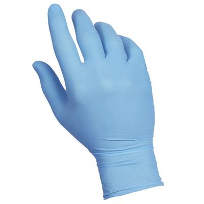 Handgards 304363573 Basicgards General Purpose Vitrile Gloves - Powder Free, Blue, Large