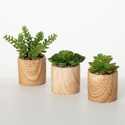 Sullivans 7", 5" & 4.5" Mini Potted Succulent Set of 3