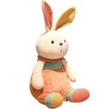Rabbit Plush Toy Kids Toys for Girls Plush Toys for Babies Bunny Plush Rabbit Toy Kawaii Plush Baby Bunny Toy Girl Child