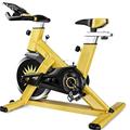 Exercise Bike Spinning Home Bicycle Indoor Exercise Bike Silent Exercise Bike Exercise Fitness Equipment