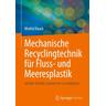 Mechanische Recyclingtechnik für Fluss- und Meeresplastik - Winfrid Rauch, Pierre Kamsouloum, Ruben Muller