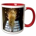 Beautiful Glass Sculpture Chandelier and Window with a View- Photography 11oz Two-Tone Red Mug mug-40250-5