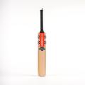 Gray-Nicolls Gray Nicolls Shockwave 2.0 Thunder Junior Kashmir Willow Cricket Bat - New for 2024 (2)