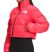 The North Face Jackets & Coats | Nwt! The North Face Nuptse Cropped Down Puffer Jacket - Size M | Color: Pink | Size: M