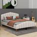 Mercer41 Venanzio Queen Size Velvet Platform Bed w/ Metal Bed Leg Upholstered in Brown | 41.4 H x 64.4 W x 85.5 D in | Wayfair