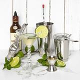 Everly Quinn Bar Set Cocktail Shaker Set, Stainless Steel Mixology Bartender Kit, 16 Piece Cocktail Kit, Silver Cocktail Set | Wayfair