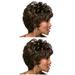 2 pcs Women Short Hair Wear Fashion Long Blunt Bangs Hair Wig Cover Stylish Hair Accessories for Party Girls(Black Brown)