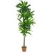 Silk Plant Nearly Natural 6 Dracaena Silk Plant (Real Touch)