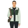 The North Face Denali Jacket in Misty Sage & Pine Needle - Green. Size S (also in L, M, XS).