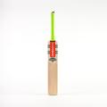 Gray Nicolls Shockwave 2.3 300 Junior Cricket Bat - New for 2024 (Harrow)