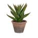 CC Home Furnishings Artificial Black Prince Succulent in Pot - 12.5