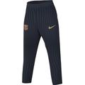 Nike Herren Hose FCB Mnk Dfadvstrkelt PNT Kpz, Obsidian/Club Gold/Club Gold, FJ5383-451, XL