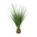 Organic Modern Onion Grass Bush in a glass vase with acrylic water and rocks - Green