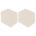 20 Pcs Microwave Mica Flakes Microwave Ovens Microwave Replacement Parts Mica Plate Microwave Accessories