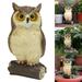 Ovzne Fake Owl Bird Scarecrow Decoy Plastic Owl Bird Deterrents Outdoor Ornaments 2024 Promotion on Sale