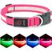 LED Dog Collar Light Up Dog Collar Adjustable USB Rechargeable Super Bright Safety Light Glowing Collars for Dogs (Large Pink)
