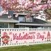 Hxoliqit Valentine s Day Banner Yard Banner Valentine s Day Decorations For Outdoor Indoor Party Decoration Supplies Home Decoration Funny Ornaments Household Essentials Ornaments For Home