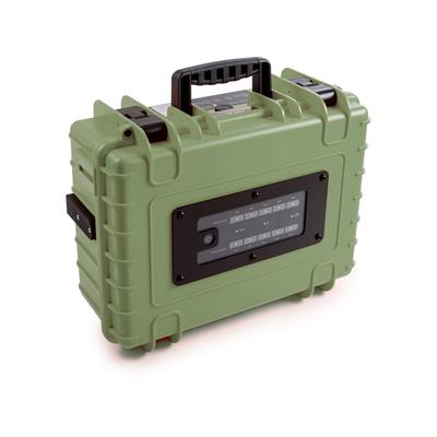 B&W International Pro500 Energy.Case 300 Watt Bronze/Green 108295