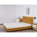 Twin Medium 6" Memory Foam Mattress - The Twillery Co.® Elspeth | 80 H x 60 W 6 D in Wayfair 5878A3FFA90D4A77A3659CCFAD4D20C2