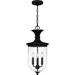 Quoizel Havana 10 Inch 3 Light Outdoor Hanging Lantern - HVN1910EK