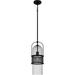 Quoizel Piccolo 7 Inch 1 Light Mini Pendant - QPP6221MBK