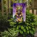 Caroline's Treasures Double Sided 15.5" H x 11.25" W Polyester Mardi Gras Garden Flag | Wayfair DAC4797GF