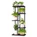 Hokku Designs 5 Tier Plant Stand Indoor Small Metal Plant Shelf Plant Holder in Black | Wayfair 28006E2360C04634973FD4CD34B4482E