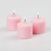 Richland Votive Candles & Eastland Frosted Petite Hurricane Votive Holders Pink Gardenia Scented Set of 12