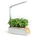 Leyfeng Hydroponics Growing System Indoor Herb Garden Kit with Grow Light Smart Garden for Home and Kitchen Indoor Plant Growing System Herb Grower Vegetable Gardening System