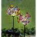 Garden Solar Light Butterflies Decor - [2 Pack] Butterfly Waterproof LED Solar Power Stake Light for Garden Lawn Patio or Courtyard Decorations - Outdoor Landscape Path Light (Multi-Color) gticphyj