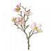 1/3 Pcs White Silk Artificial Magnolia Flowers Decoration Bouquet with Long Stem for Home Table Centerpiece Office Vase