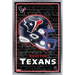 NFL Houston Texans - Neon Helmet 23 Wall Poster 22.375 x 34 Framed