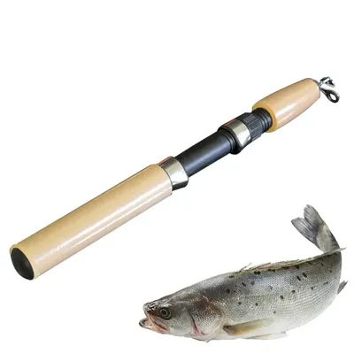 Ice Fishing Combo Fiberglass Small Fishing Rod For Winter Sensitive  Feedback Outdoor Fishing Supplies Telescopic For Fishing - AliExpress