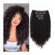 Hair Extensions 7pieces Kinky Curly Clip In Hair Extension Full Head - Double Weft Full Head Heat Resistance Synthetic Hair Extension Fake Hair Pieces for Women, 24" Hairpiece (Color : 4, Size : 26i