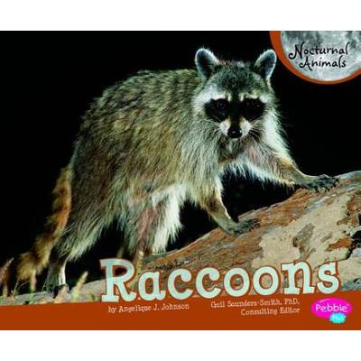Raccoons Nocturnal Animals