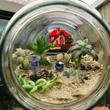 1 Set Miniature Tortoise Well Water Tank Ornament Miniature Plant Pots Bonsai Decor