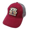 Disney Accessories | Disney Hat - Epcot Flower And Garden 2019 Mickey Seed Hat Cap Trucker Mesh | Color: Brown | Size: Os