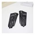OPYTR Winter Gloves Leather Gloves Female Short Gloves Fashion Simple Zipper Decoration Woman's Leather Gloves Windproof Lined Thick (Color : Black, Gloves Size : S)