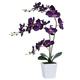 YSZL Faux Orchid in Vase Artificial Orchid in Ceramic Vase Tall Silk Orchids with Stems Real Look Phalaenopsis Flowers Arrangement Centerpiece Table Decorations for Home Decor Indoor, Dark Purple