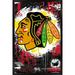 NHL Chicago Blackhawks - Maximalist Logo 23 Wall Poster 22.375 x 34 Framed
