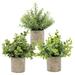 Yabuy Aibecy 3pcs Potted Artificial Flora Simulation Green Grass Leaves Home Plants Realistic Decor for Home Kitchen Garden