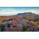 GUOHLOZ 1500 Piece Jigsaw Puzzles for Adults & Kids Age 10 Years Up, UK, Meadows, Lavender, Peak District National Park, 87x57cm