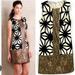 Anthropologie Dresses | Anthro / Tabitha Label Black & Cream Starburst Sleeveless Dress W/ Gold Sequins | Color: Black/Cream | Size: 8