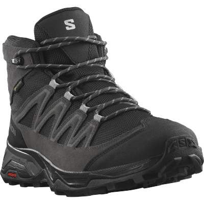 Wanderschuh SALOMON "X WARD Leather MID GORE-TEX", Gr. 44, grau (anthrazit), Mesh, Leder, sportlich, Schuhe, wasserdicht