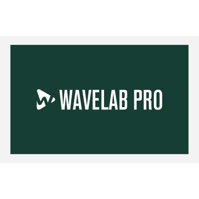 Steinberg Wavelab Pro 12