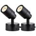 2 Pack LED Spot Lights Indoor 3W Up Lights Indoor Floor Spotlight 3000K Uplights Indoor Accent Lighting US Plug