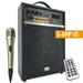 300W Rechargeable Guitar Speaker Amplifier Combo MIC SD USB ECHO V5 w/ Bluetooth Bundle