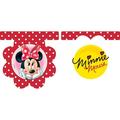 Disney Dotted Minnie Mouse Flag Banner