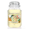 Christmas Cookie Original Large Jar Candle Yankee Candle, Neutrals, 10.7cm x 16.8cm | Sweet & Spicy